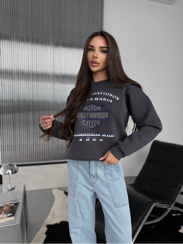 Жіночий теплий світшот графiтового кольору 30143