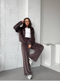 Велюровий жіночий костюм на блискавці коричневого кольору 31473