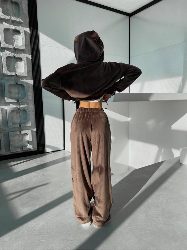 Велюровий жіночий костюм з капюшоном коричневого кольору 31708