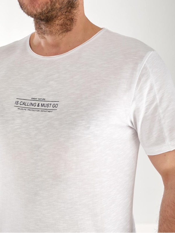 Футболка чоловіча світло-сірого кольору 33314