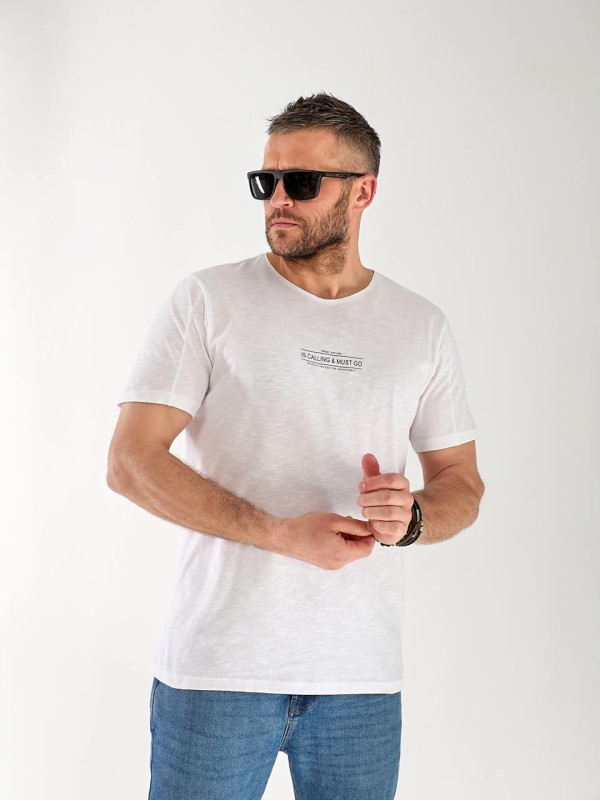 Футболка чоловіча світло-сірого кольору 33314