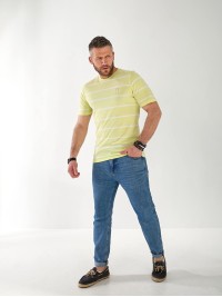 Чоловіча футболка в смужку салатового кольору 33360