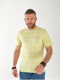 Чоловіча футболка в смужку салатового кольору 33360
