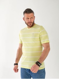 Чоловіча футболка в смужку салатового кольору 33360