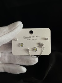 Комплект з 6 гвоздиків срібного кольору 33839