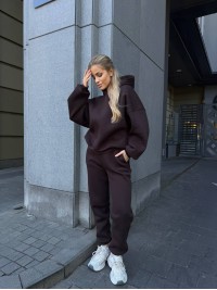 Жіночий теплий костюм з капюшоном коричневого кольору 34517