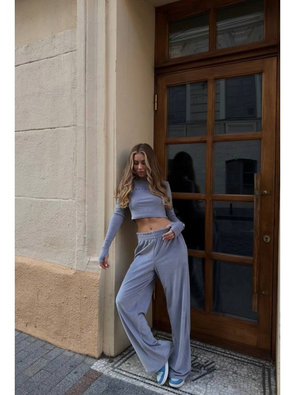 Жіночий велюровий костюм сiрого кольору 34584