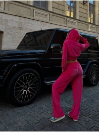 Жіночий велюровий костюм з камiнцями малинового кольору 34913