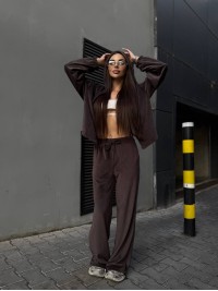 Велюровий жіночий костюм з начісом кавового кольору 35053