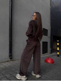 Велюровий жіночий костюм з начісом кавового кольору 35053