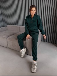 Жіночий костюм флісовий зеленого кольору 35621