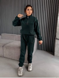 Жіночий костюм флісовий зеленого кольору 35621