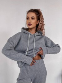 Жіночий спортивний костюм на флісi з капюшоном сiрого кольору 35763