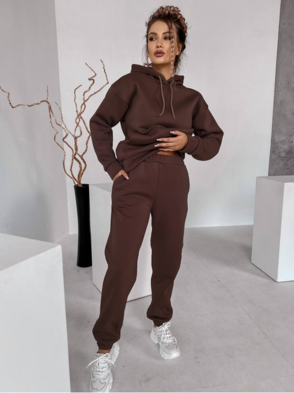 Жіночий спортивний костюм на флісi з капюшоном коричневого кольору 35767