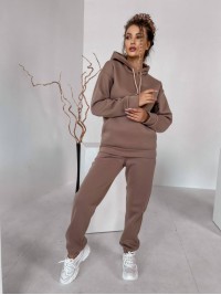 Жіночий спортивний костюм на флісi з капюшоном кавового кольору 35768