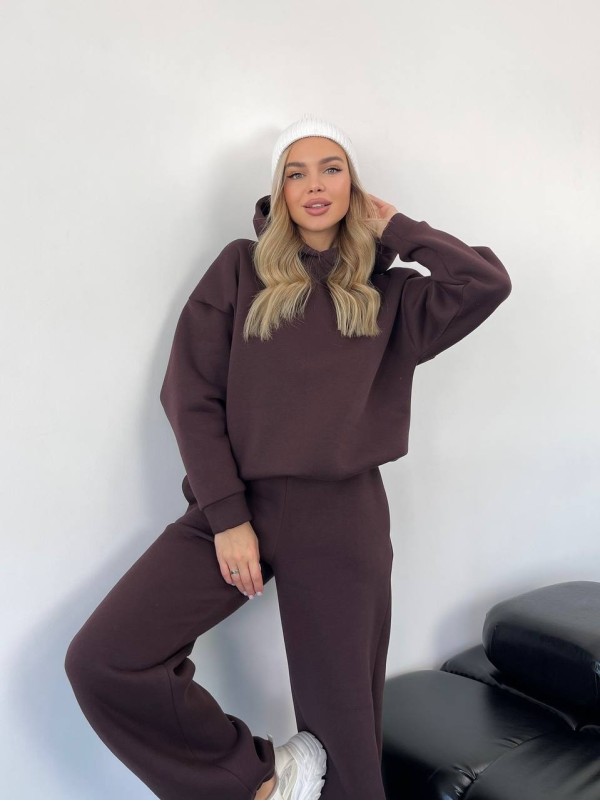 Теплий жiночий костюм з капюшоном коричневого кольору 35809