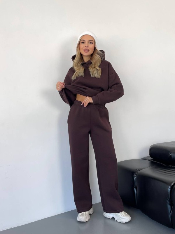 Теплий жiночий костюм з капюшоном коричневого кольору 35809