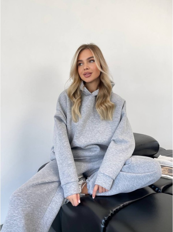 Теплий жiночий костюм з капюшоном сiрого кольору 35813