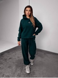 Жіночий костюм флісовий з капюшоном зеленого кольору 35902