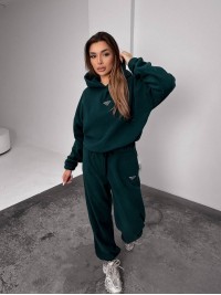 Жіночий костюм флісовий з капюшоном зеленого кольору 35902