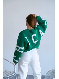 Стильний світшот на флісі з написом зеленого кольору 28968