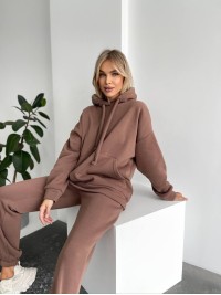 Теплий жіночий костюм з капюшоном кавового кольору 29398