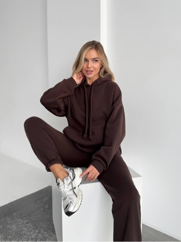 Теплий жіночий костюм з капюшоном коричневого кольору 29407